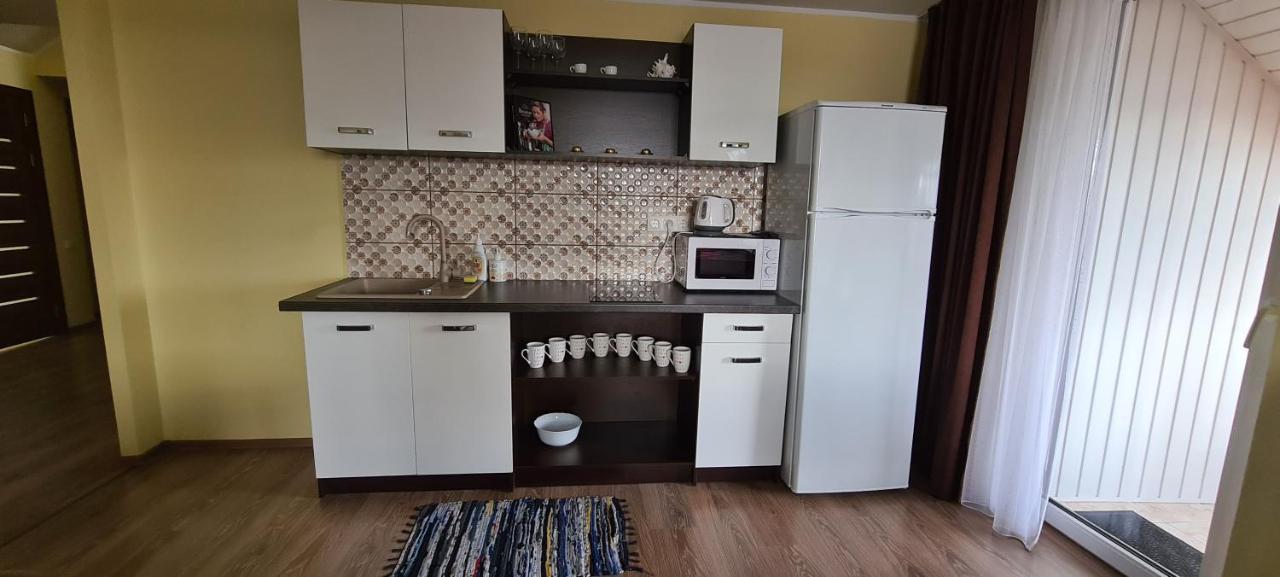 Sauliaus Apartamentai Vip Panevėžys 外观 照片
